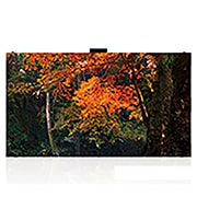 LG LED дисплей для внутреннего использования LG LAS015DB9-F | Серия LAS | шаг пикселя: 1.575 мм, модульная конструкция, LAS015DB9-F, thumbnail 1