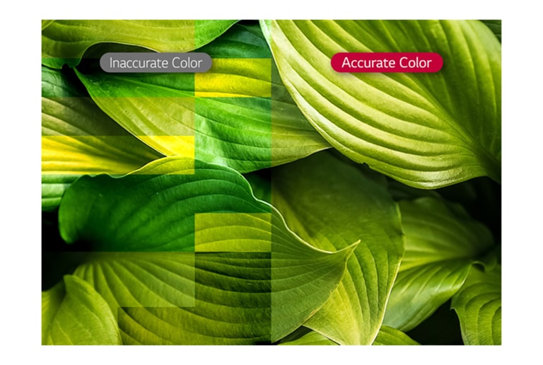 Яркость и точность цвета2