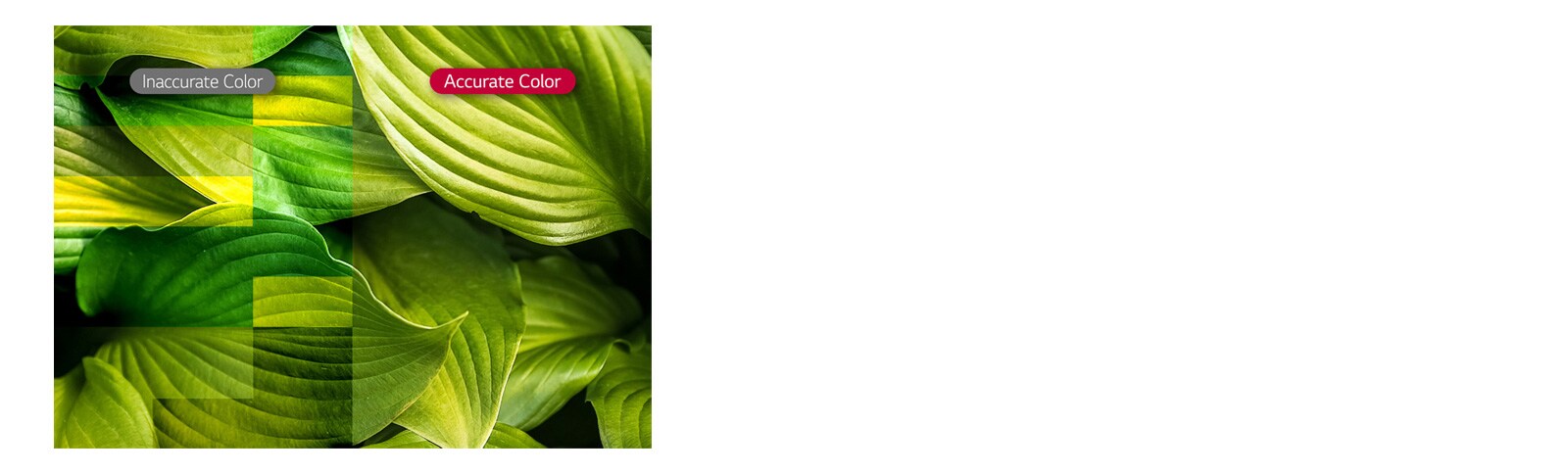 Яркость и точность цвета1