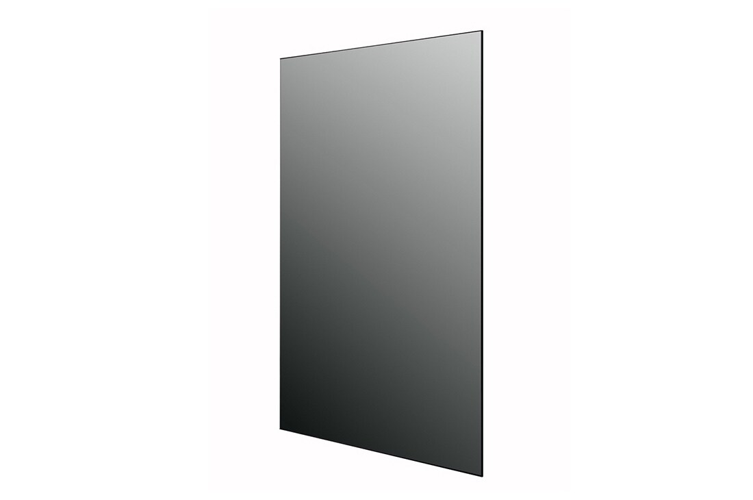 LG OLED дисплей, 65EV5C-2E, thumbnail 5