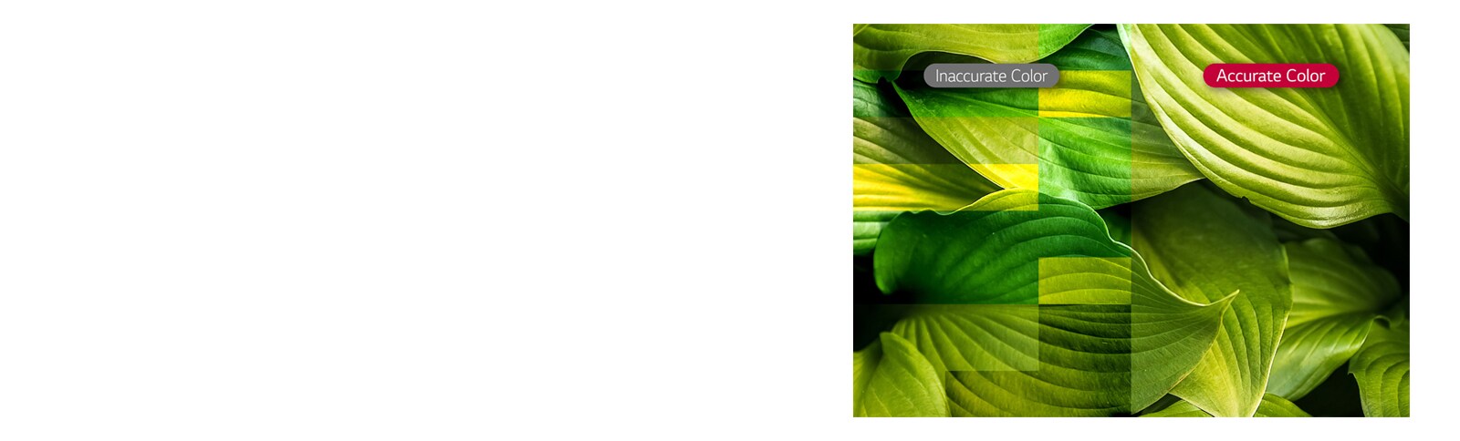 Яркость и точность цвета1