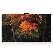 LG LED дисплей для внутреннего использования LG LAS014DB7-F | Серия LAS | шаг пикселя: 1.454 мм, модульная конструкция, LAS014DB7-F, thumbnail 1