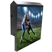 LG Светодиодный дисплей LG LBF160DA4D | Серия Стадион (Ribbon Board) | шаг пикселя: 16.00 мм, модульная конструкция, LBF160DA4D, thumbnail 3