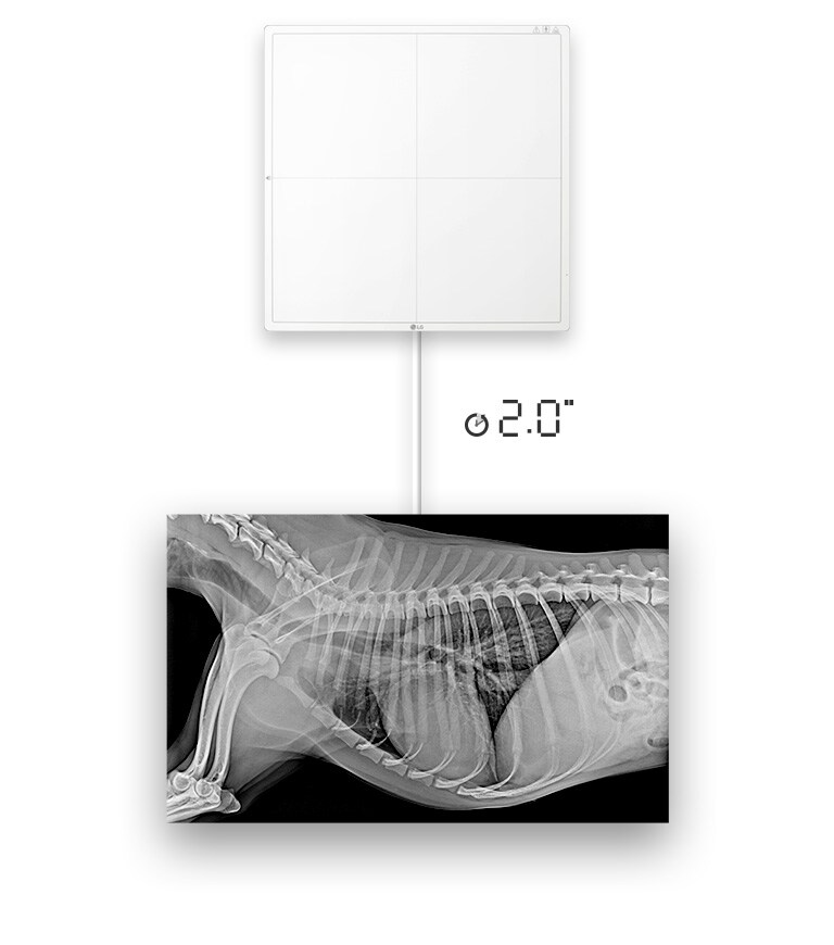 Доступность изображения через 2 секунды при проводном подключении