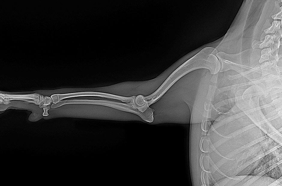 высокое разрешение и четкие результаты диагностической визуализации при использовании LG DXD