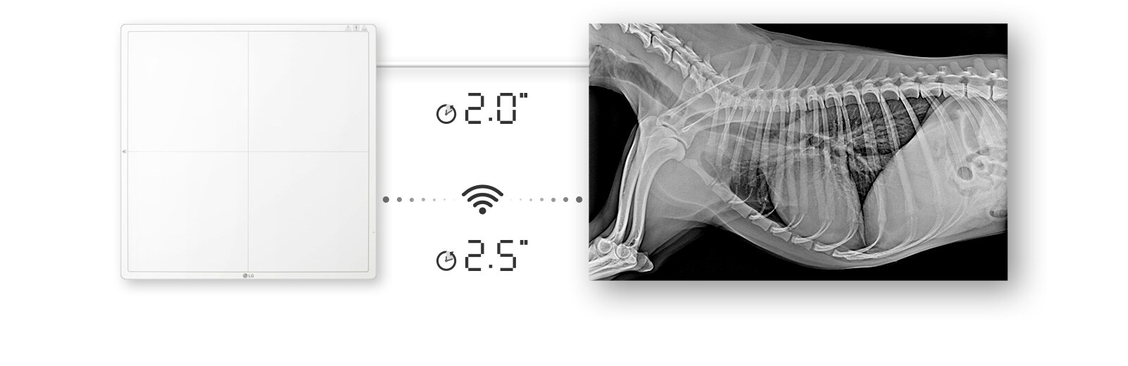 Доступность изображения через 2 секунды при проводном подключении или 2,5 секунды при беспроводном подключении для получения необработанного изображения