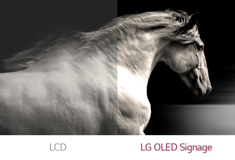 LG OLED Signage показывает лучший контраст между черным и белым, чем обычный ЖК-дисплей.