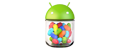 Android 4.2.2 (Jelly bean)