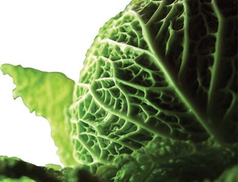 КОНТРОЛЬ ВЛАЖНОСТИ