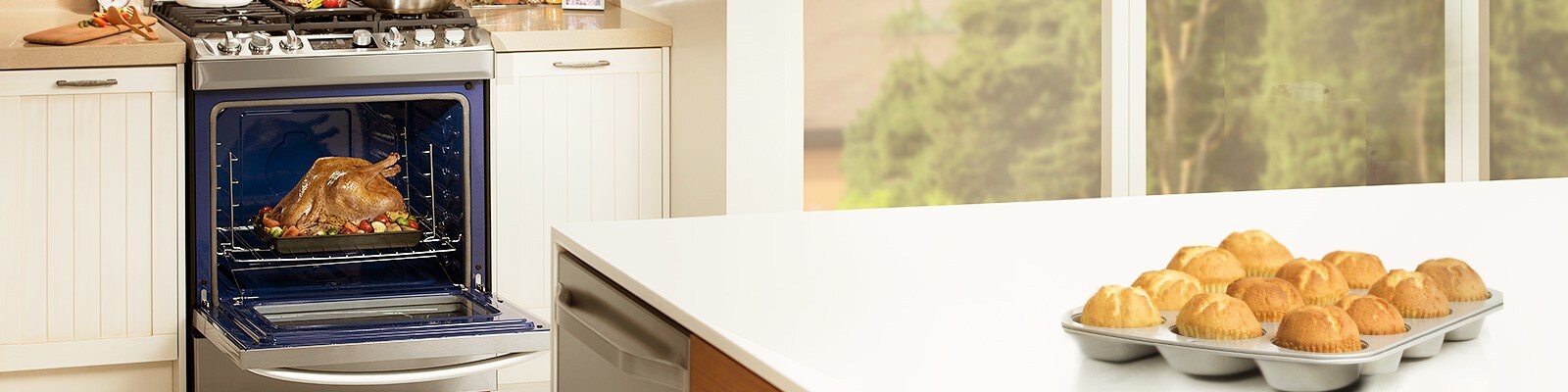 Фото кухни с духовым шкафом LG