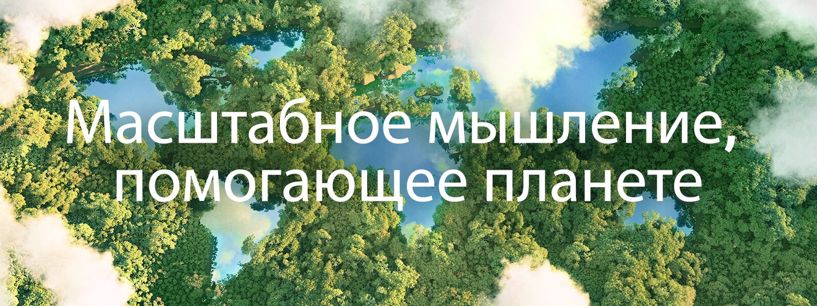 Вид на зеленый лес с высоты птичьего полета с облаками