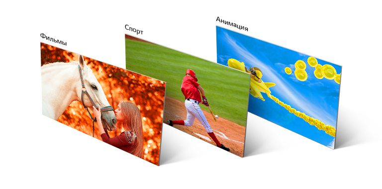 Три изображения: на одном показаны девочки, ласкающие лошадь, на втором — бейсболист, отбивающий мяч, на третьем — анимированное изображение летящего в небе самолета.