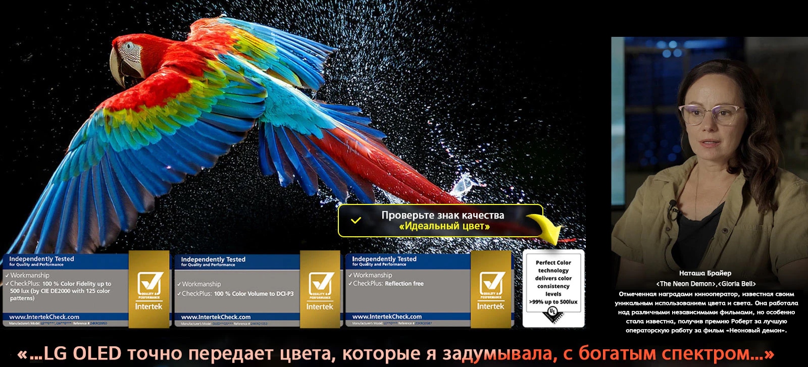 Красочный попугай в ультравысоком разрешении на черном фоне. Вокруг него в воздухе зависли капли воды. Изображение демонстрирует технологию «Идеальный цвет», подчеркивая красоту и яркость каждого оттенка цвета попугая. Темный фон с четкими деталями капель воды также делает акцент на экране с антибликовым покрытием. Представлены различные сертификаты логотипов UL и Intertek. Они указывают на 100% точность цветопередачи, 100% цветовой объем и защиту от бликов. Также виден текст: «Проверьте знак качества «Идеальный цвет».