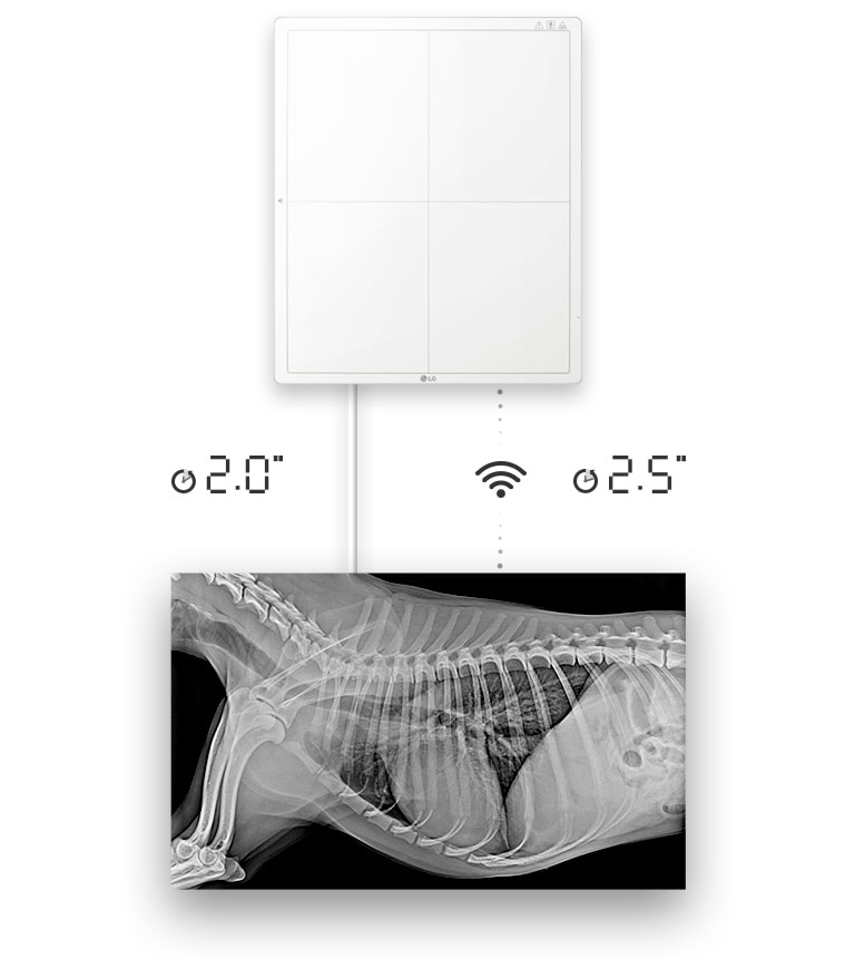 Доступность изображения через 2 секунды при проводном подключении или 2,5 секунды при беспроводном подключении для получения необработанного изображения