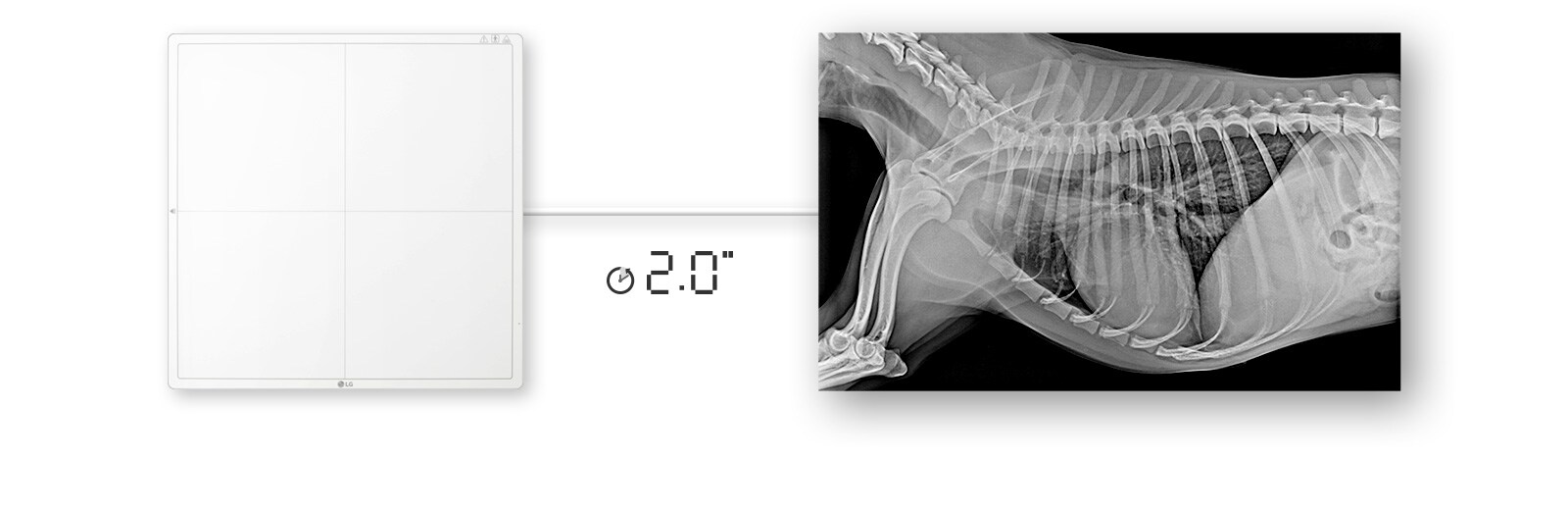 Доступность изображения через 2 секунды при проводном подключении