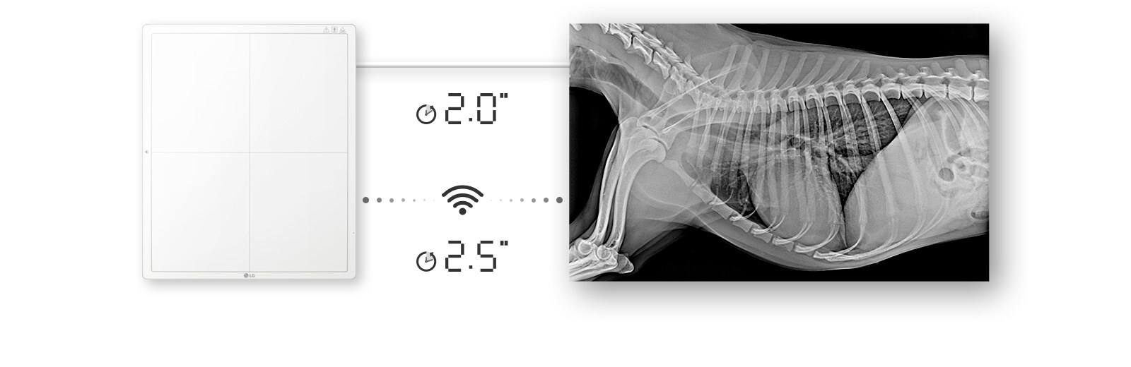 Доступность изображения через 2 секунды при проводном подключении или 2,5 секунды при беспроводном подключении для получения необработанного изображения
