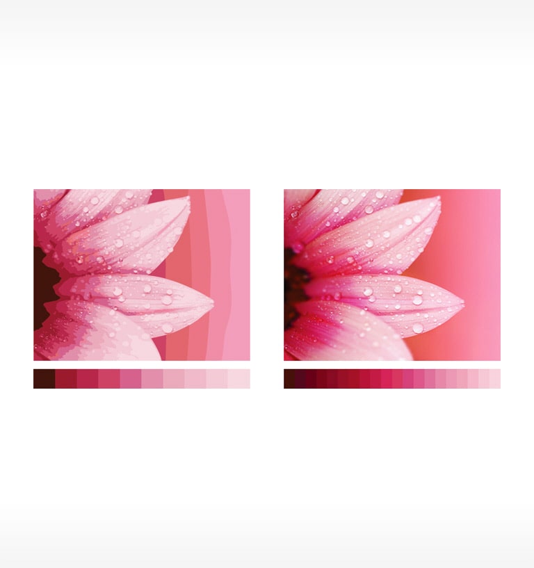 03.feature_104_01.Color Processing_m