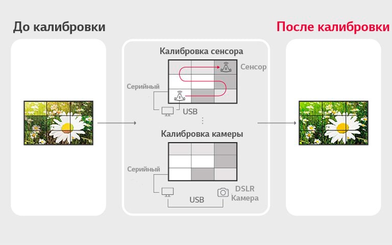 Структура LG SuperSign WB 