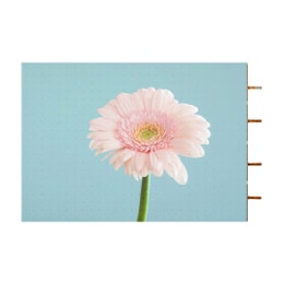 Светодиодные (LED) дисплеи