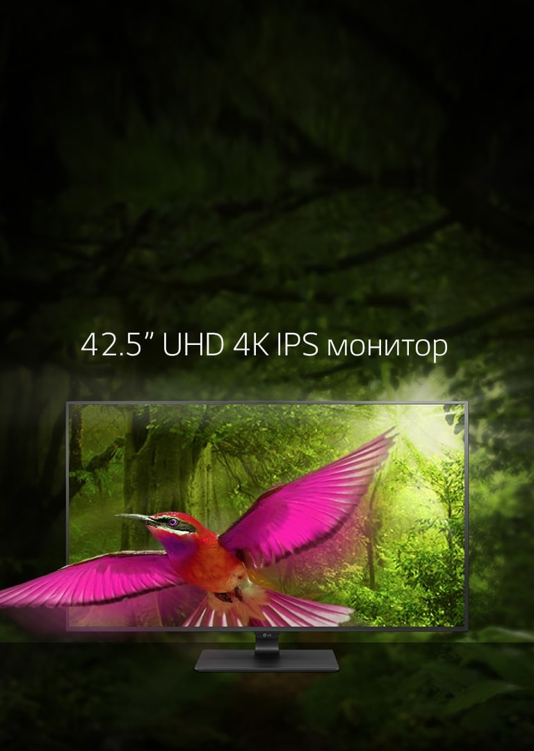 Мониторы для ПК LG: весь модельный ряд | LG Россия