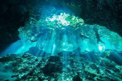 QNED MiniLED делает яркость еще ярче1