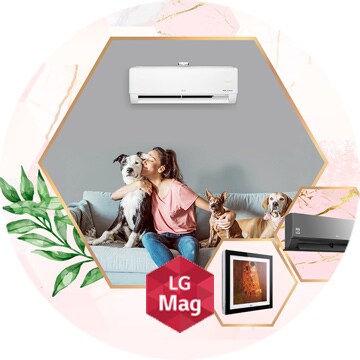 Любителям прохлаждаться дома