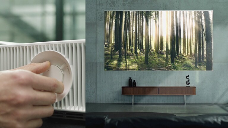 Сдвиг объектива и Zoom x1,63