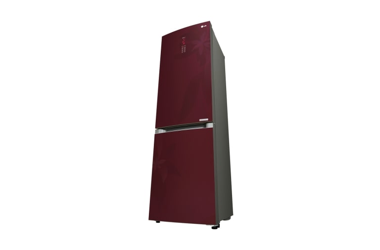 LG Двухкамерный холодильник LG с системой Total No Frost, GA-B489TGRF, thumbnail 9