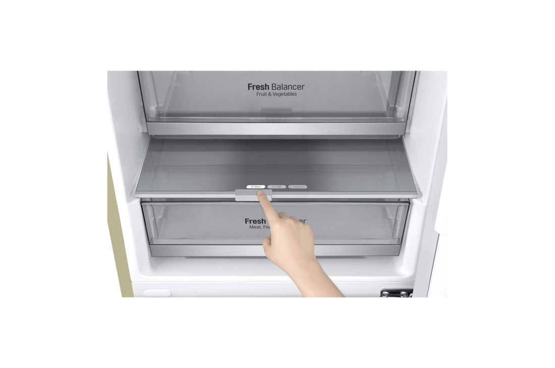 LG Холодильник LG GA-B459BEDZ | 374л | DoorCooling⁺ | Бежевый, GA-B459BEDZ, thumbnail 11