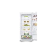 LG Холодильник LG GA-B509SQKL | DoorCooling⁺ | 419л | Белый, GA-B509SQKL, thumbnail 6