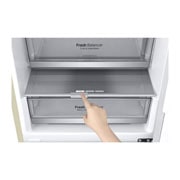 LG Объем 419л | DoorCooling+ | Бежевый | Зоны свежести, Metal Fresh, Складная полка, Винная полка, Wi-Fi, GA-B509SEUM, thumbnail 5