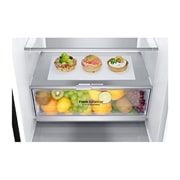 LG Холодильник LG GC-B509SBUM | 384л | DoorCooling⁺ | Чёрный, bottom with food draw Detail view, GC-B509SBUM, thumbnail 9