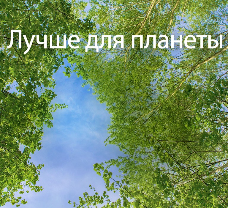 Зеленое изображение, наполненное покрытыми листвой деревьями, и небом между ними.