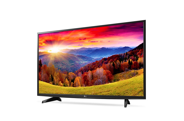 LG FULL HD телевизор 49'', 49LH513V, thumbnail 2