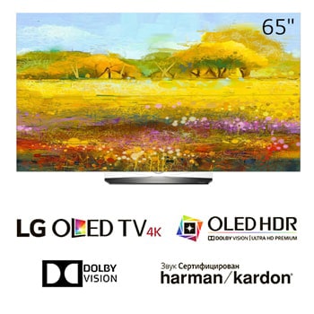 Телевизор LG OLED65G6V1