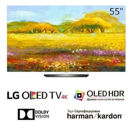 Телевизор LG OLED55B6V2