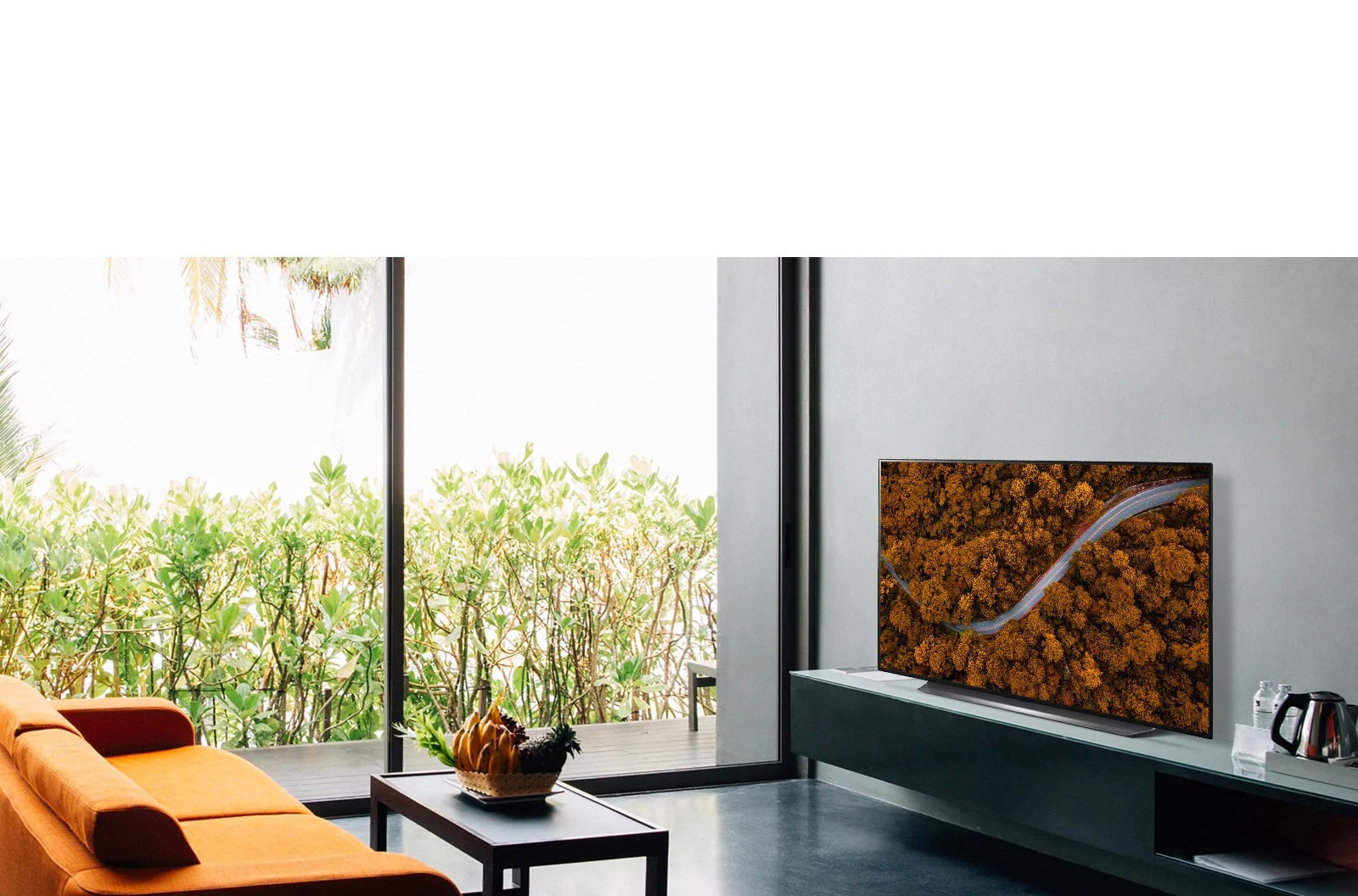 Гостиная с телевизором, показывающим картину с цветком