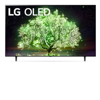 вид спереди1