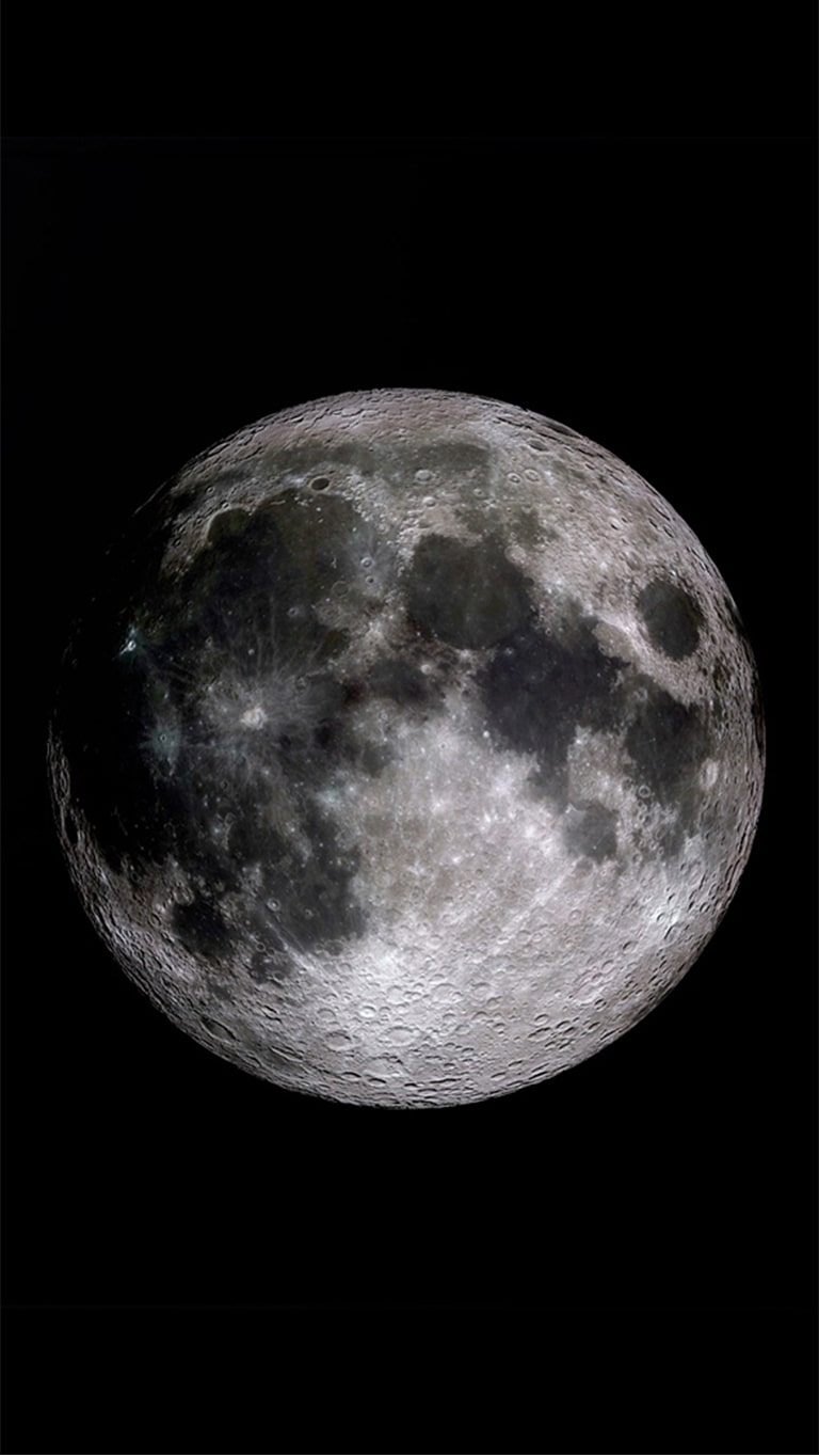 Экран LG SIGNATURE Rollable OLED TV скручивается и исчезает.