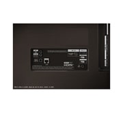 LG Телевизор Smart TV LG OLED evo AI C4 4K 48'' OLED48C4, Крупный план изображения телевизора LG OLED evo, OLED48C4RLA, thumbnail 12