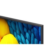 LG Телевизор LG 75NANO81A6A 75'' Nanocell AI 4K 2025, detail, 75NANO81A6A, thumbnail 7