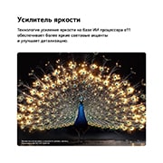 LG 65-дюймовый телевизор Смарт ТВ LG OLED AI C6 4K 2026, LG OLED evo AI C6 с технологией Brightness Booster показывает темную сцену, где ярко освещенный павлин распускает светящиеся перья, с более яркими светлыми участками с улучшенной детализацией и порази, OLED65C6DLA, thumbnail 9