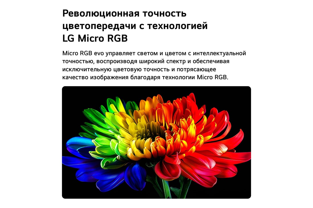 LG 100-дюймовый телевизор Smart&nbsp;TV LG Micro RGB evo AI MRGB96 4K 2026 , На экране телевизора LG Micro RGB evo ИИ MRGB95 с технологией Ульрарасширеннная цветопередача  RGB отображается цветок, с точно управляемым красным, зеленым и синим светом от отдельных движков Micro R, 100MRGB96B6, thumbnail 6