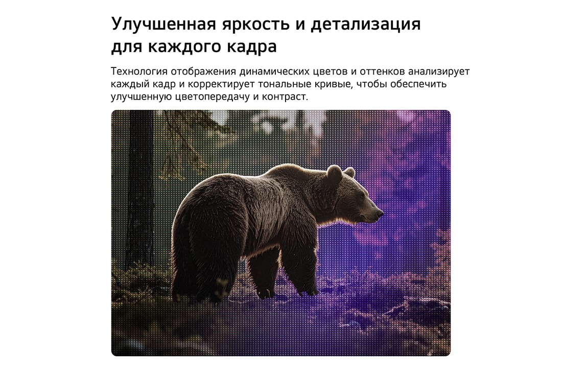 LG 27-дюймовый телевизор LG Смарт ТВ ИИ LB70 FHD 2026, Телевизор LG SMART TV AI LB70 с технологией Динамического отображения оттенков оптимизирует сцену с медведем в лесу, анализируя тональные кривые кадр за кадром, обеспечивая более богатые текстуры с улучшенным цветовым контрастом и визуальной четкостью., 27LB70006LA, thumbnail 6