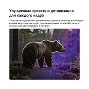 LG 27-дюймовый телевизор LG Смарт ТВ ИИ LB70 FHD 2026, Телевизор LG SMART TV AI LB70 с технологией Динамического отображения оттенков оптимизирует сцену с медведем в лесу, анализируя тональные кривые кадр за кадром, обеспечивая более богатые текстуры с улучшенным цветовым контрастом и визуальной четкостью., 27LB70006LA, thumbnail 6