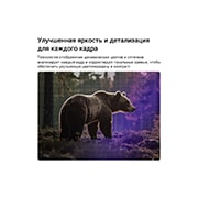 LG 32-дюймовый телевизор LG Смарт ТВ ИИ LB65 FHD 2026, Телевизор LG SMART TV AI LB65 с технологией Динамического отображения тонов  оптимизирует сцену с медведем в лесу, анализируя тональные кривые кадр за кадром, обеспечивая более богатые текстуры с улучшенным цветовым контрастом и визуальной четкостью., 32LB650B6LA, thumbnail 5