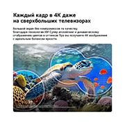 LG 86-дюймовый телевизор Smart&nbsp;TV LG QNED evo AI QNED85 Mini LED 4K 2026, LG QNED evo AI QNED85 Mini LED с функциями AI Picture Pro и Dynamic Tone Mapping Pro показывает подводную сцену с морской черепахой, плывущей над кораллами, и рыбами, а ИИ распознает и масштабирует ка, 86QNED85B6C, thumbnail 7