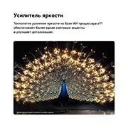 LG 97-дюймовый телевизор Смарт ТВ LG OLED evo AI G6 4K 2026, LG OLED evo AI G6 с технологией Усилитель Яркости Brightness Booster показывает темную сцену, где ярко освещенный павлин распускает светящиеся перья, с более яркими светлыми участками с улучшенной детализацией и поразительным контрастом., OLED97G6RLA, thumbnail 4