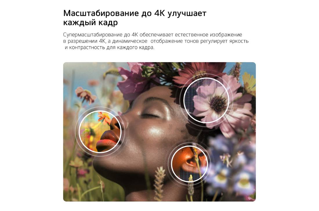 LG 55-дюймовый телевизор Smart TV LG NANO 4K UHD AI NU85 2026, LG NANO 4K UHD AI NU85 с технологиями 4K  Супер - апскейлинг (Super Upscaling) и Динамическая тональная компрессия (Dynamic Tone Mapping) показывает подводную сцену с морским львом, а ИИ распознает и , 55NU850B6LA, thumbnail 6