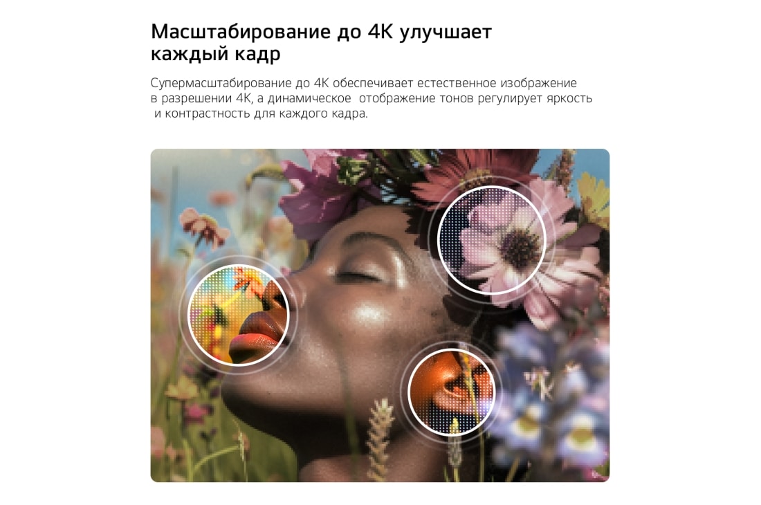 LG 55-дюймовый телевизор Smart TV LG NANO 4K UHD AI NU90 2026, LG NANO 4K UHD AI NU90 с технологиями 4K  Супер - апскейлинг (Super Upscaling) и Динамическая тональная компрессия (Dynamic Tone Mapping) показывает подводную сцену с морским львом, а ИИ распознает и , 55NU900B6LA, thumbnail 6